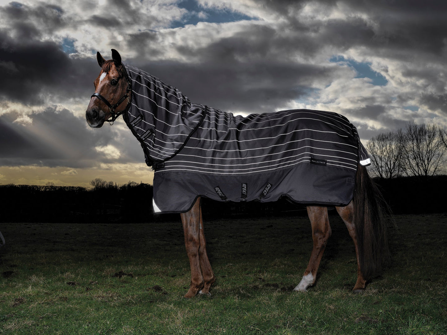 Horseware Ireland Amigo Bravo 12 Plus Reflectech Turnout Medium-Weight Blanket