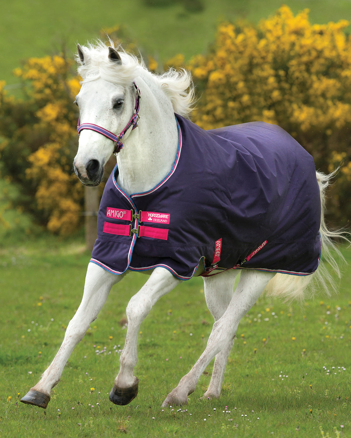Horseware Ireland Amigo Pony Hero 900D Lite Turnout Sheet