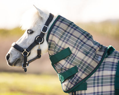 Kensington Mini Protective Neck Cover