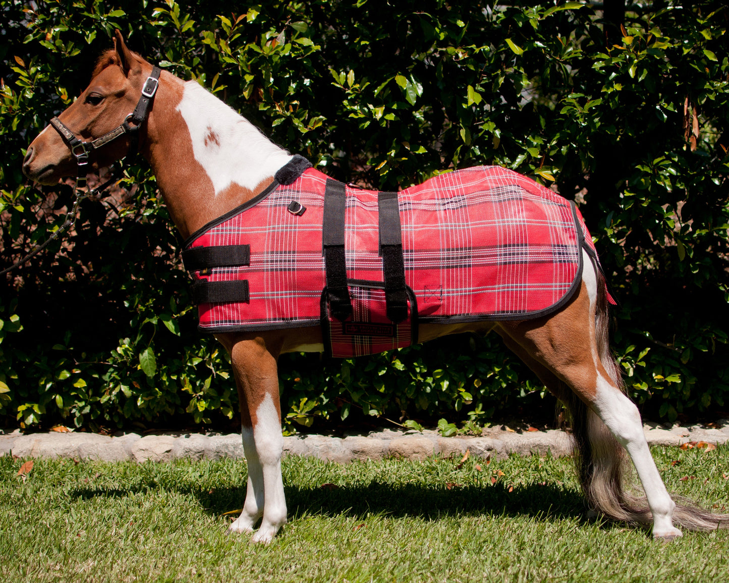 Kensington Mini Signature Textilene Protective Fly Sheet