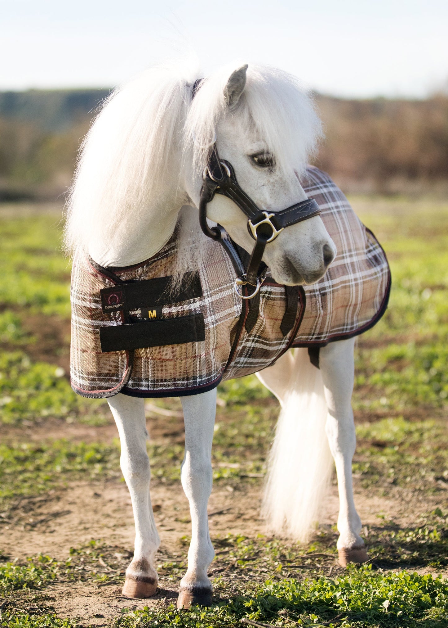 Kensington Mini Signature Textilene Protective Fly Sheet