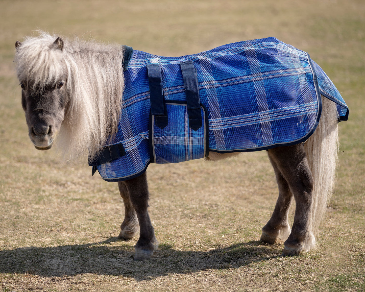 Kensington Mini Signature Textilene Protective Fly Sheet