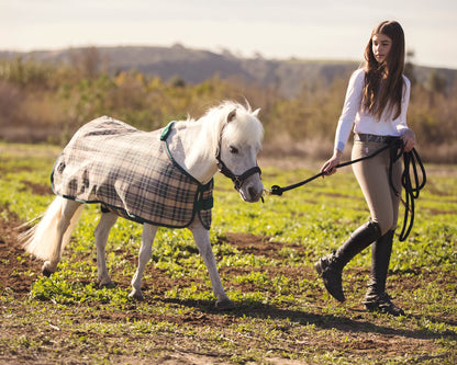 Kensington Mini Signature Textilene Protective Fly Sheet