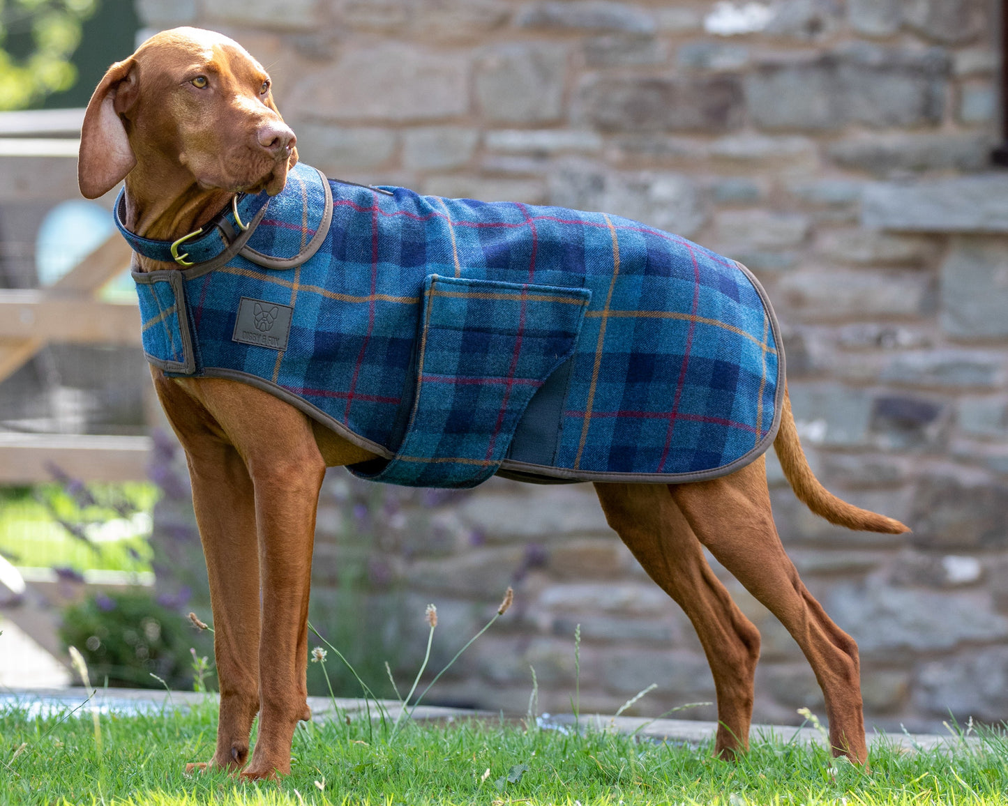 Shires Digby & Fox Tweed Dog Coat