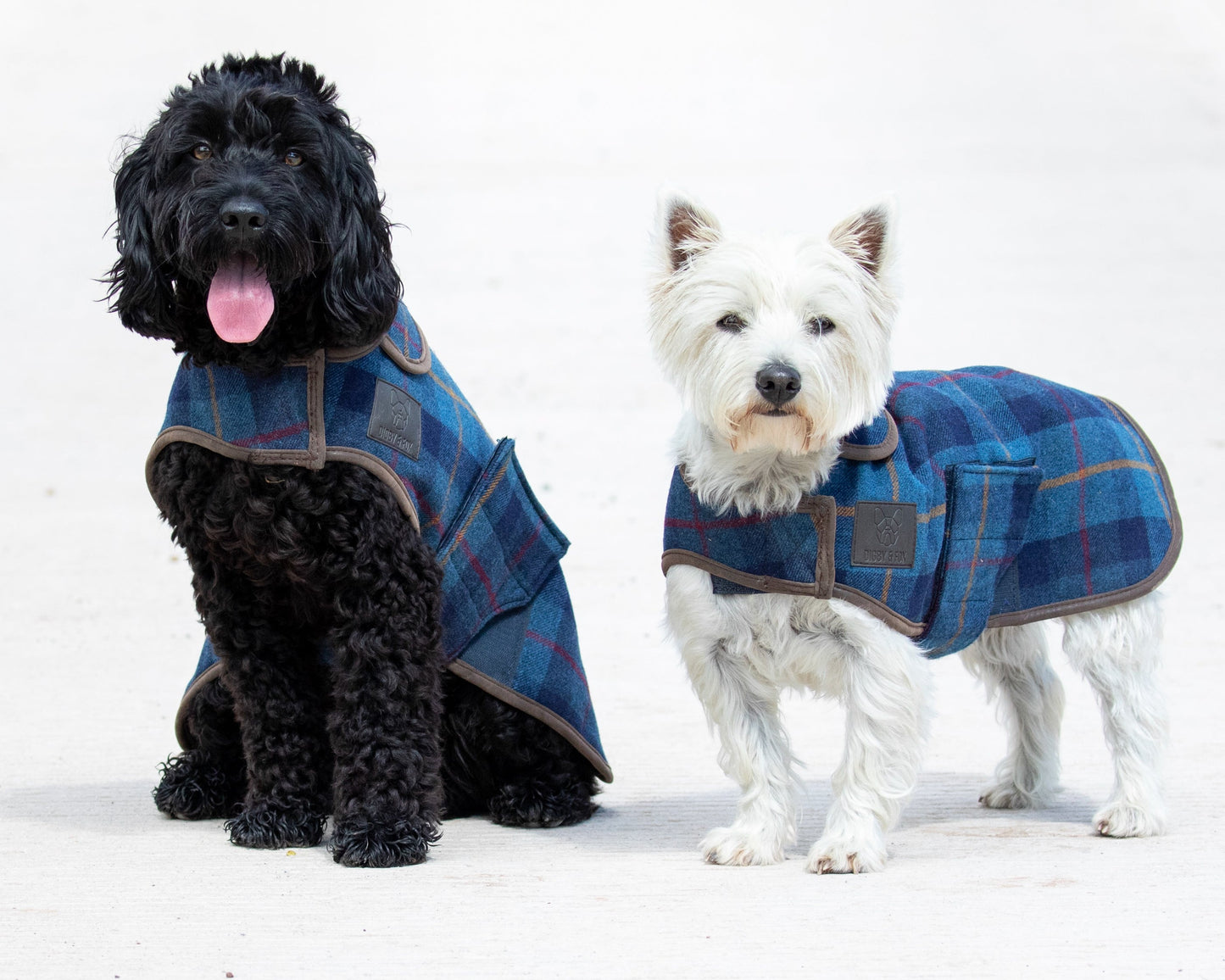 Shires Digby & Fox Tweed Dog Coat