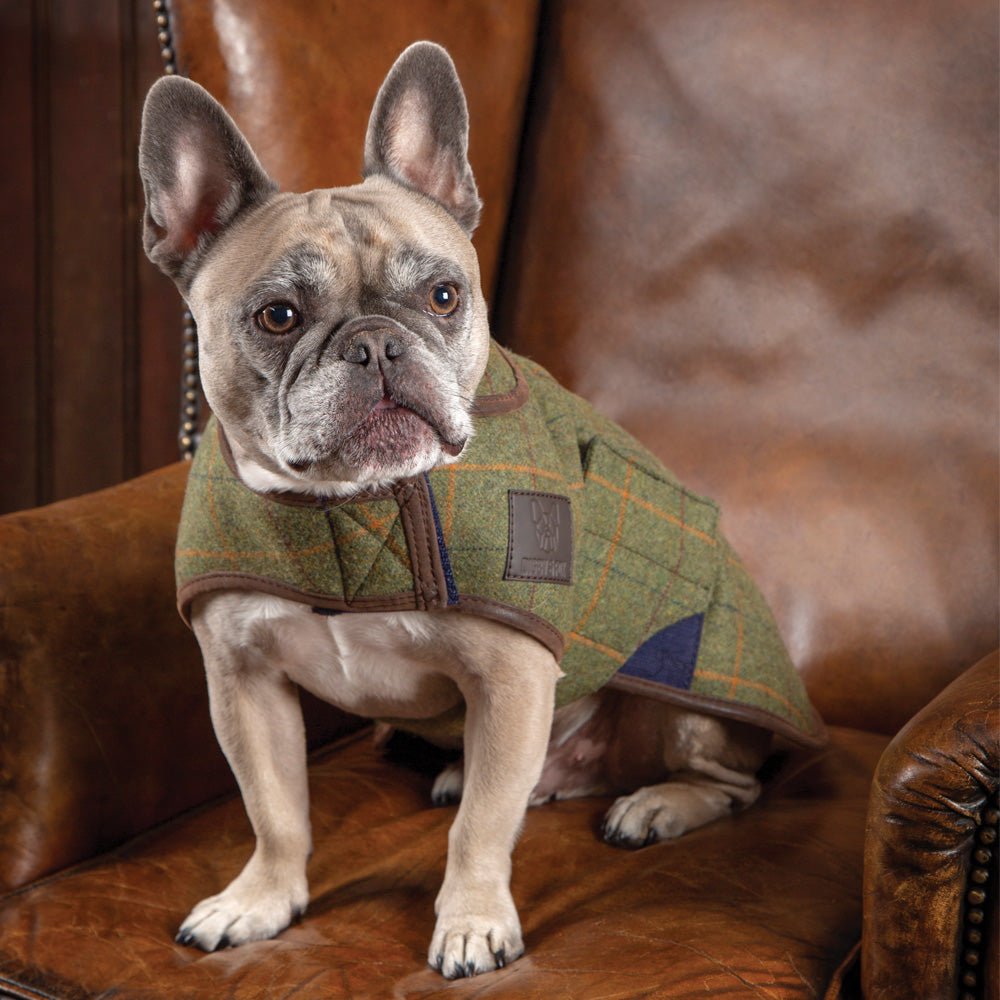 Shires Digby & Fox Tweed Dog Coat