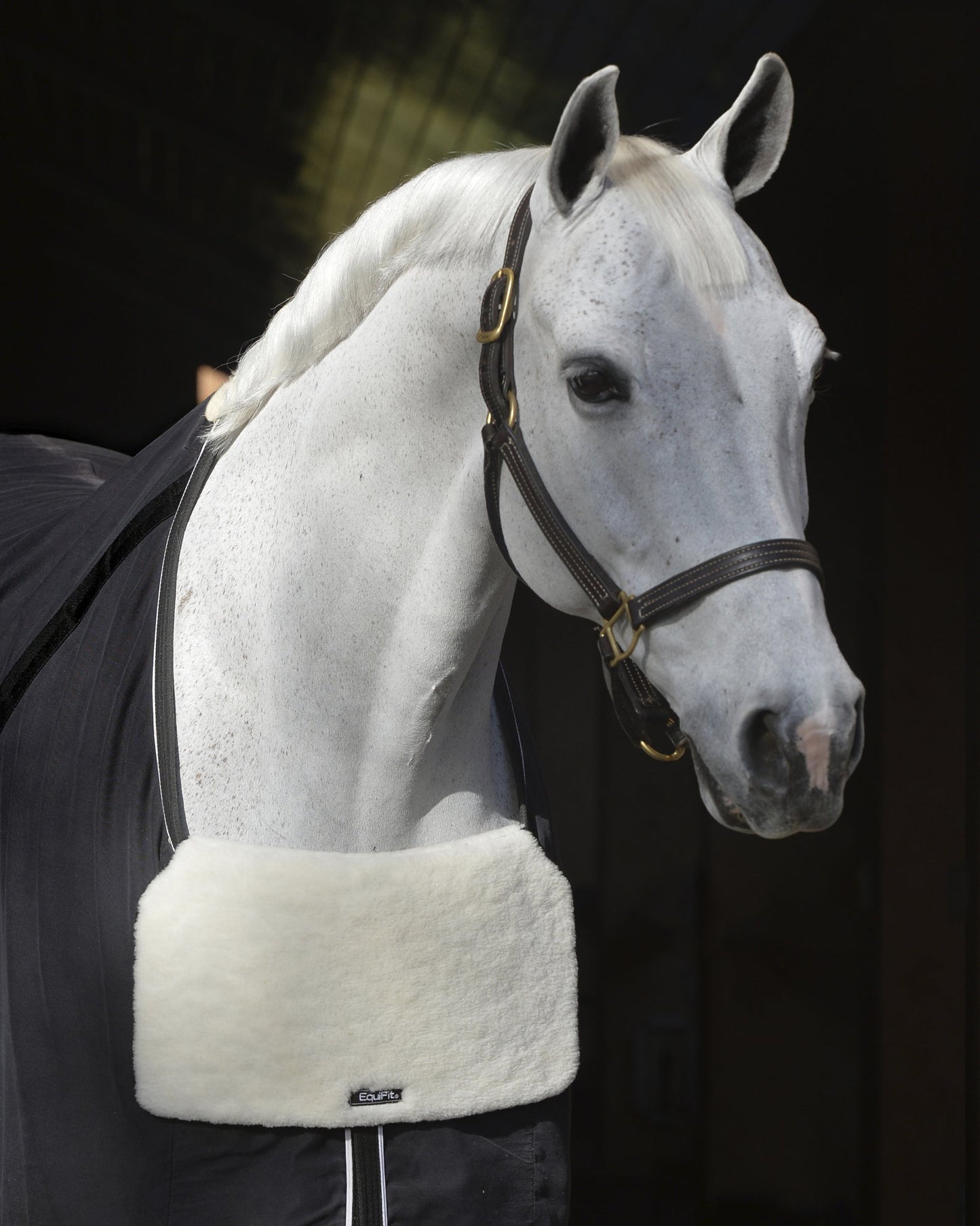 EquiFit BlanketBib