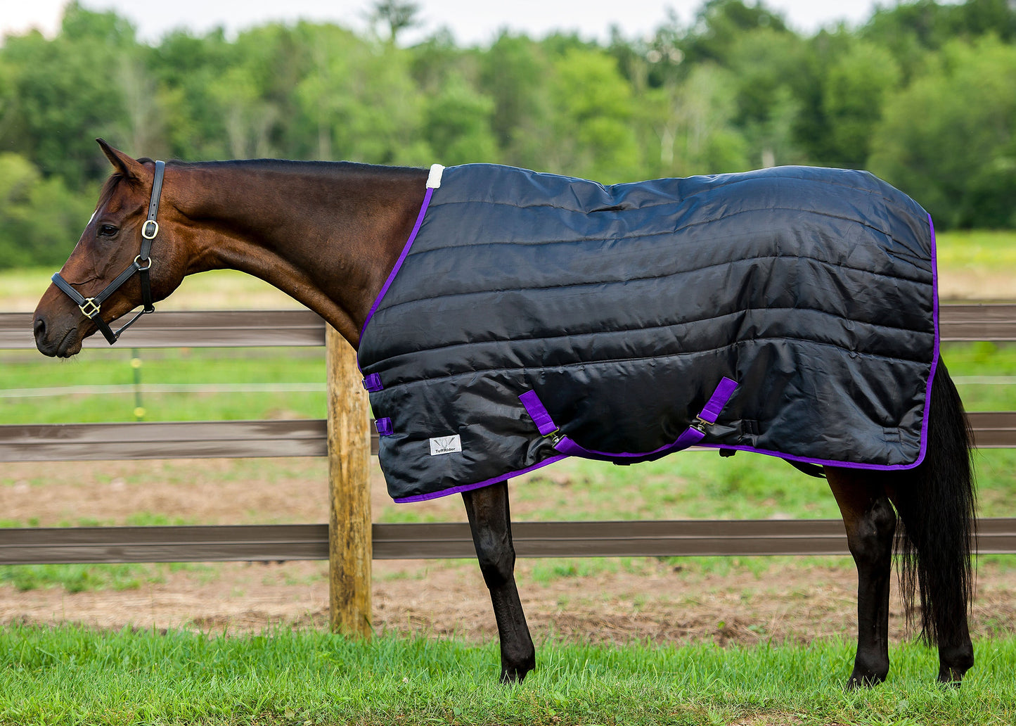 TuffRider Kozy Komfort Stable Blanket