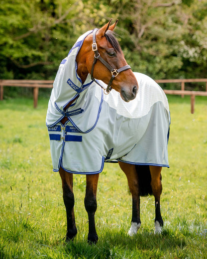 Horseware Amigo Airflow Sheet