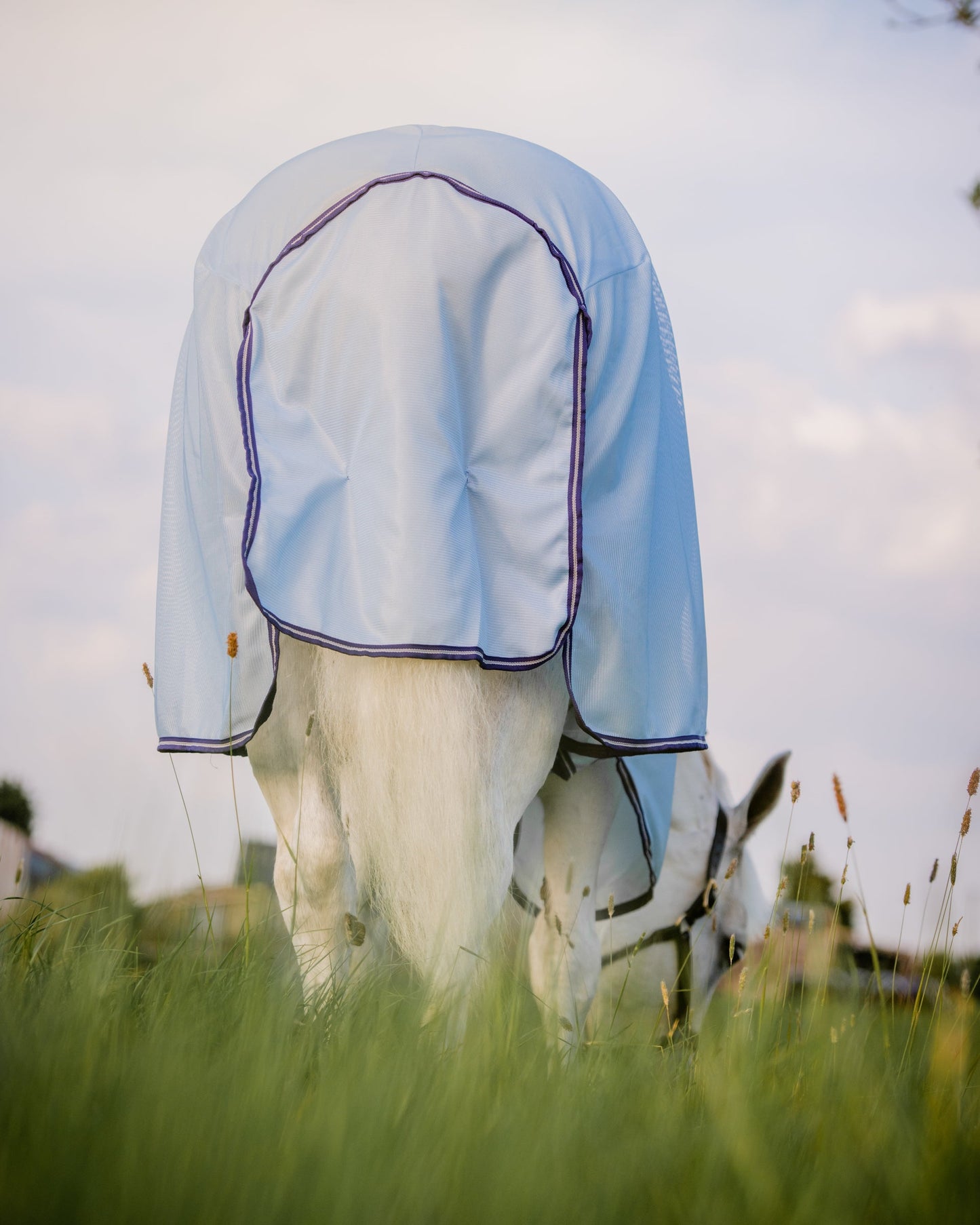 Horseware Amigo XL Bug Rug