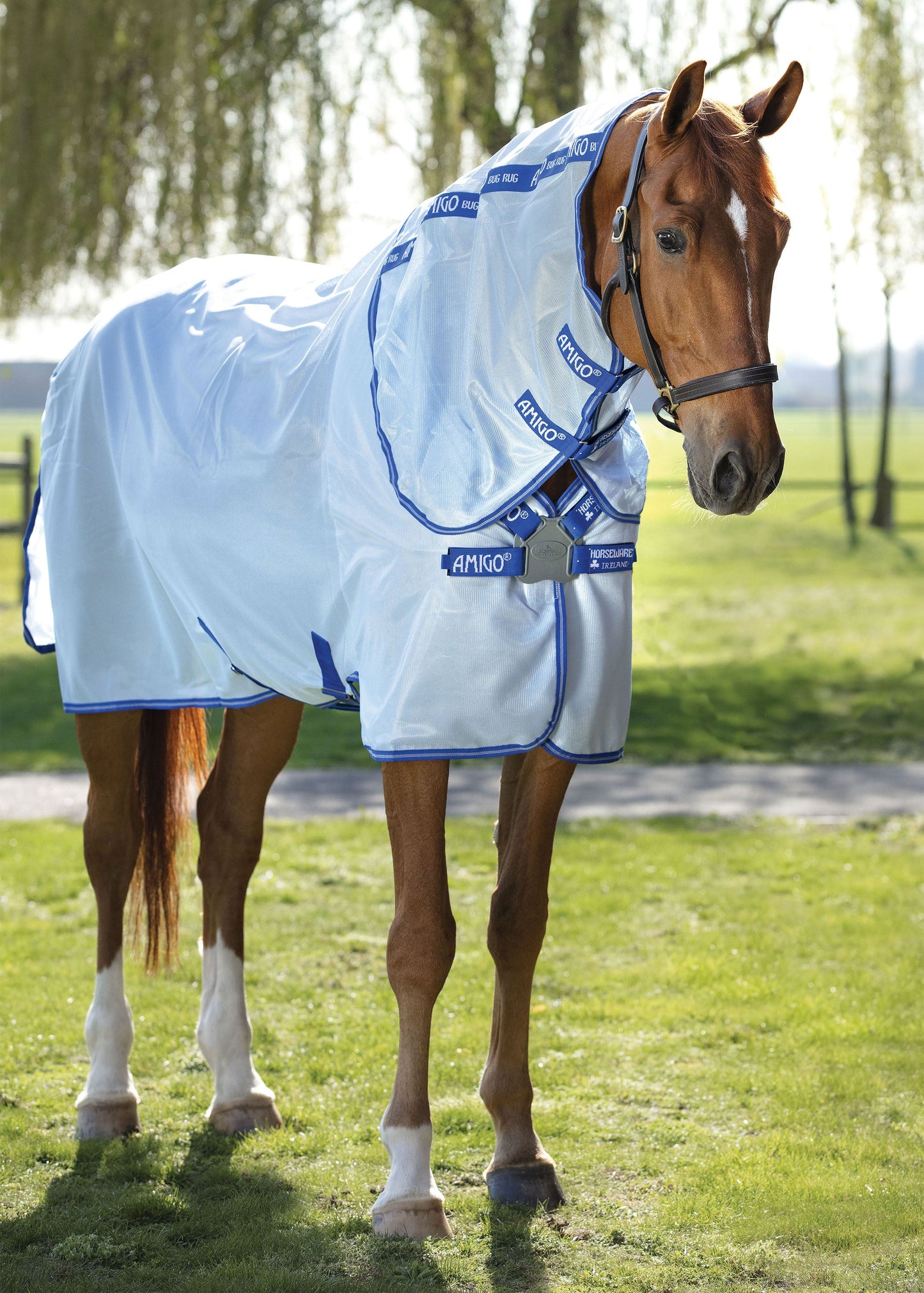 Horseware Amigo XL Bug Rug
