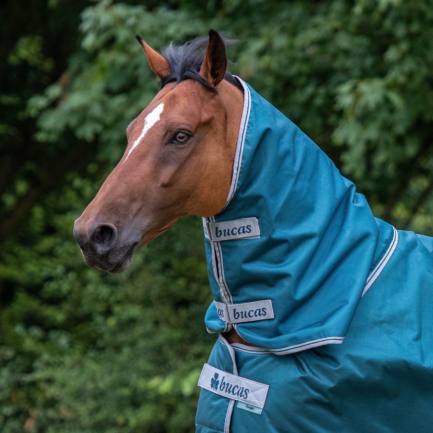 Bucas Atlantic 200 Gram Turnout Blanket