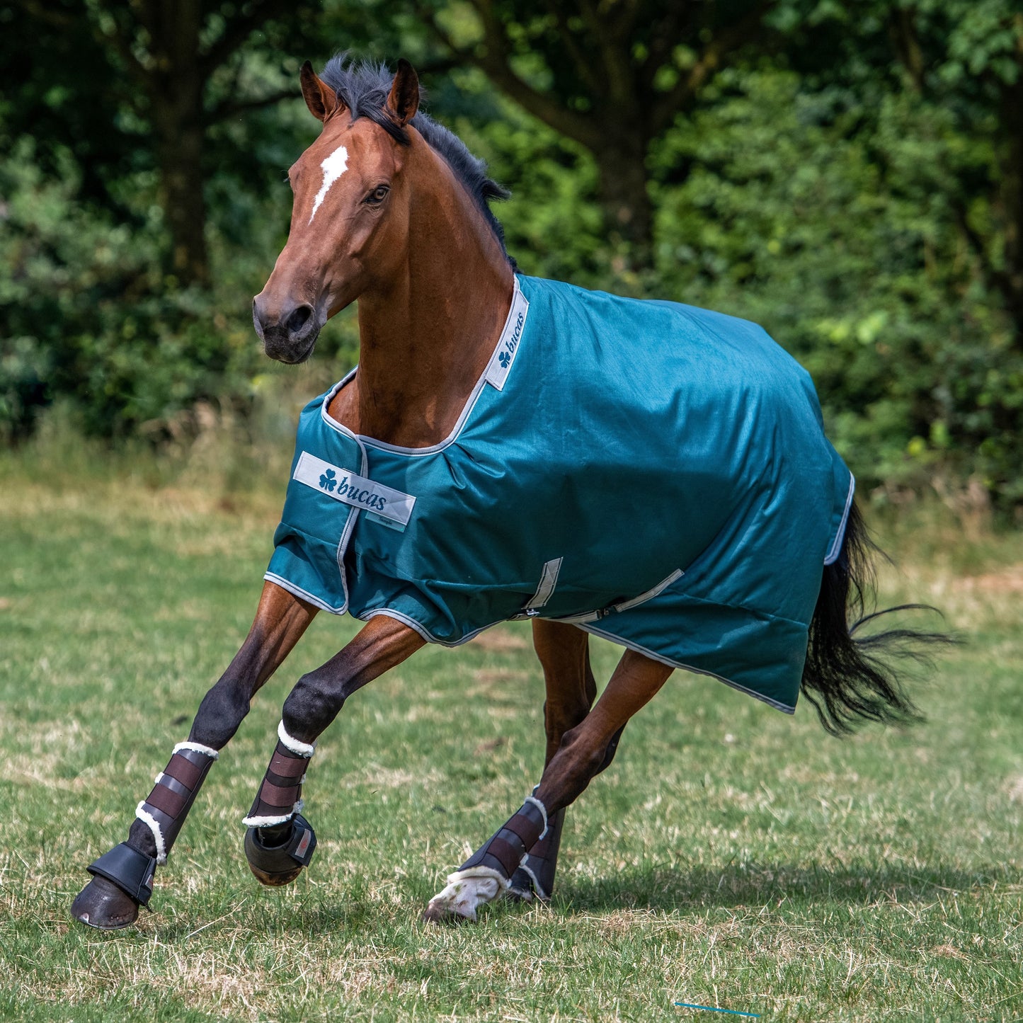 Bucas Atlantic 50 Gram Turnout Blanket