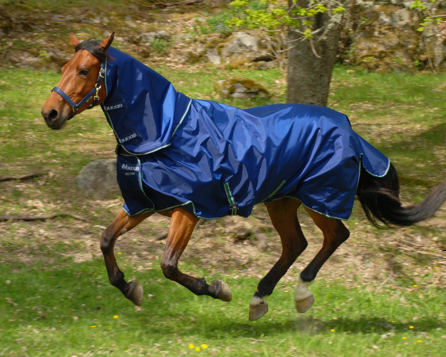 Bucas Smartex Combi Neck Cover