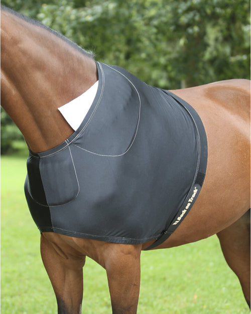 Back on Track Therapeutic Equine Shoulder Guard with Pads