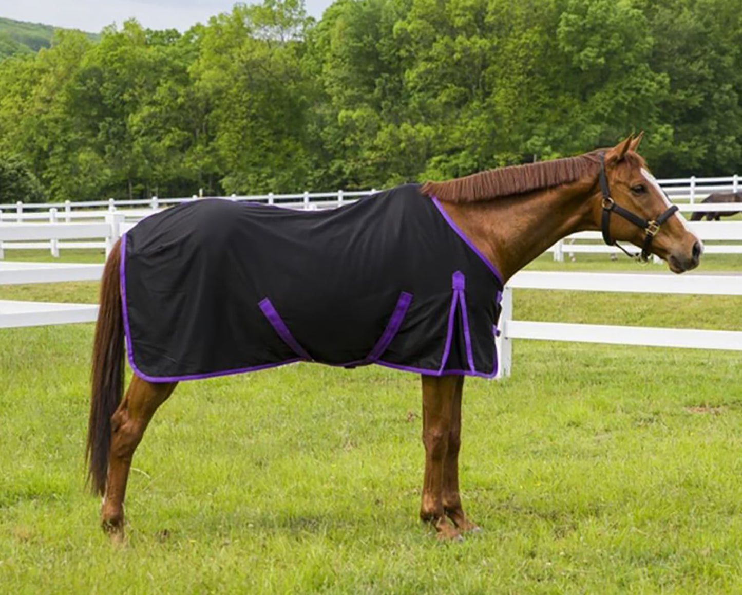 TuffRider Kozy Komfort Stable Sheet