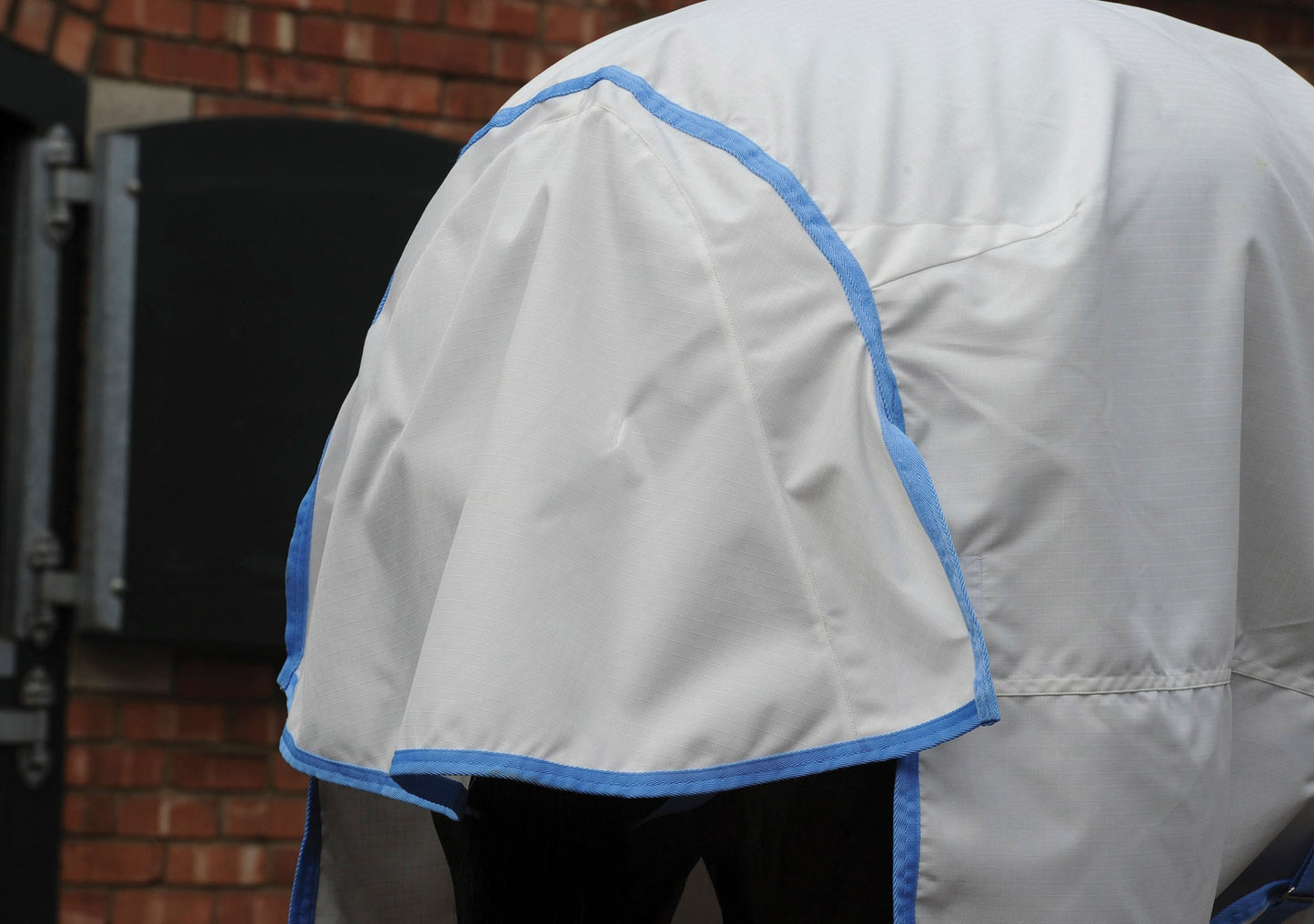 WeatherBeeta Sweet Itch Shield with Combo Neck
