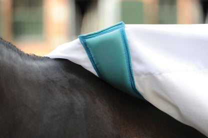 WeatherBeeta Sweet Itch Shield with Combo Neck