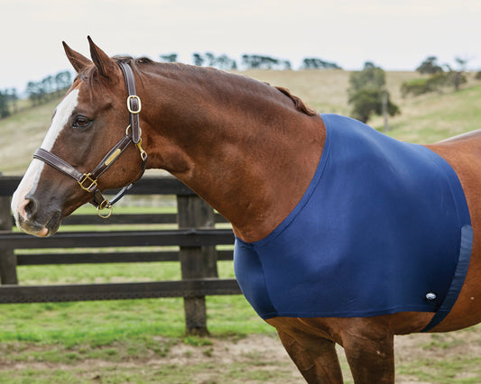 WeatherBeeta Stretch Shoulder Guard
