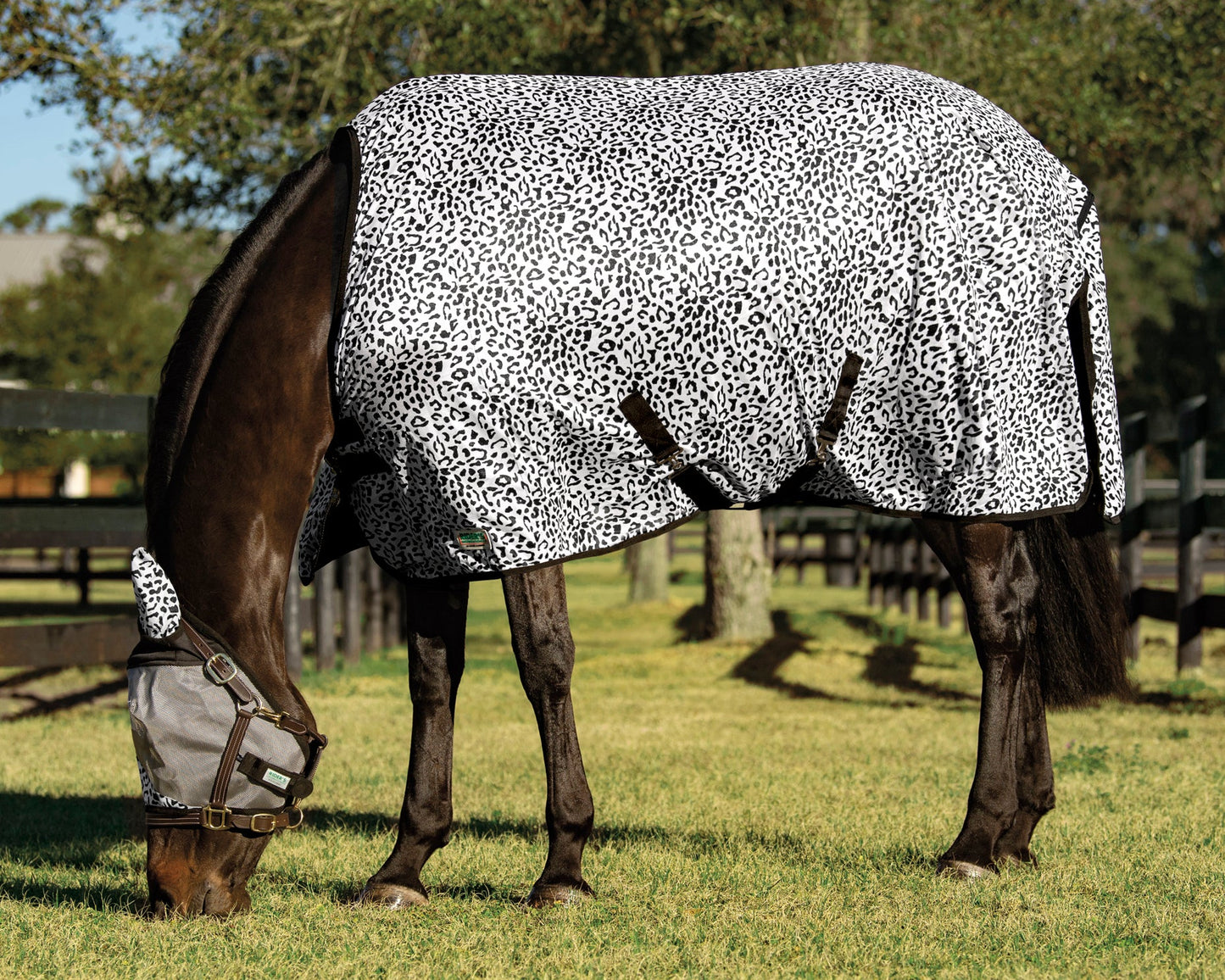 Riders International Safari Fly Sheet