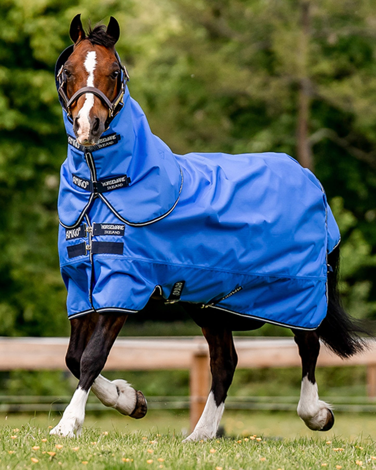 Horseware Ireland Amigo Hero Ripstop Plus 100 Gram Turnout Light Blanket
