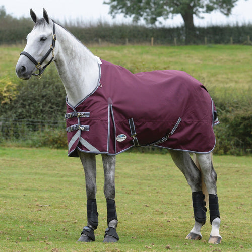 WeatherBeeta ComFiTec Plus Dynamic II Standard Neck Medium-Weight Turnout Blanket