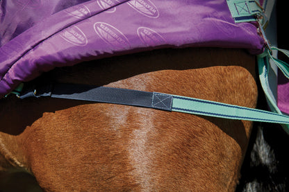 WeatherBeeta Pony ComFiTec Premier Free II Detach-A-Neck Medium-Weight Turnout Blanket
