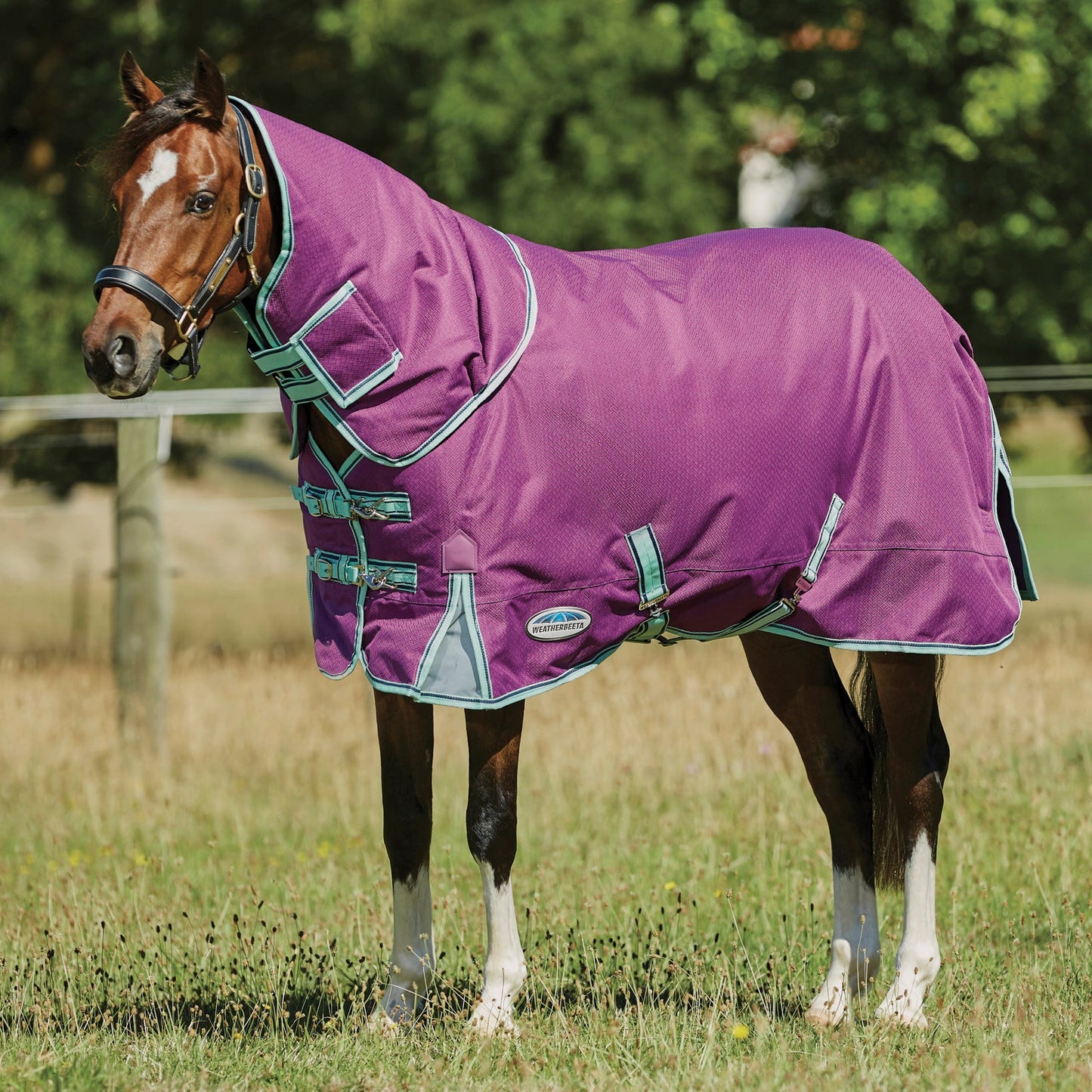 WeatherBeeta Pony ComFiTec Premier Free II Detach-A-Neck Medium-Weight Turnout Blanket