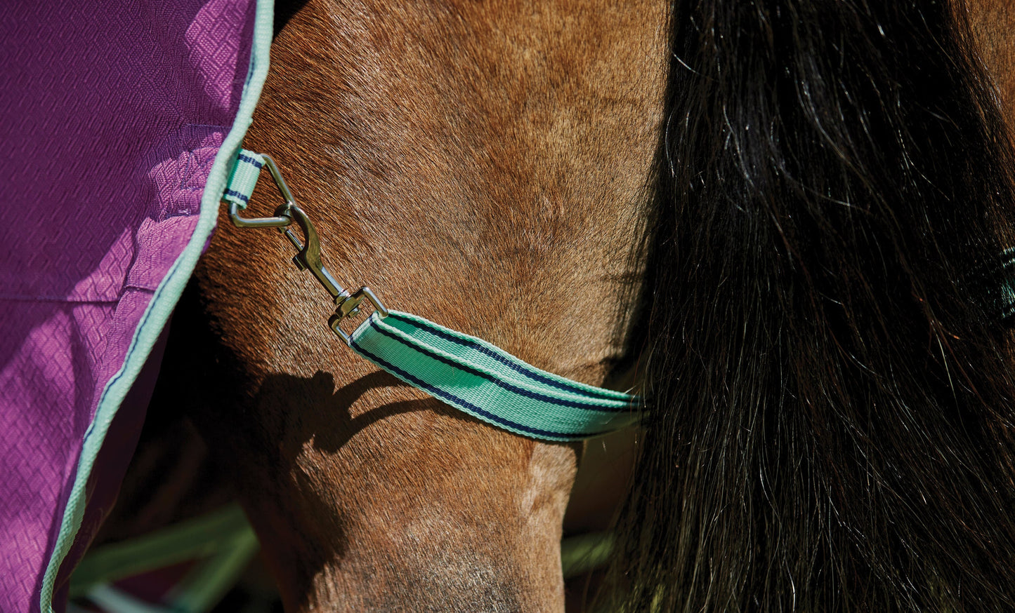 WeatherBeeta Pony ComFiTec Premier Free II Standard Neck Lite Turnout