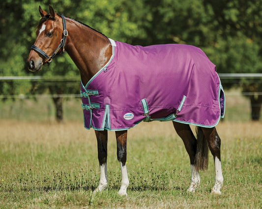 WeatherBeeta Pony ComFiTec Premier Free II Standard Neck Lite Turnout