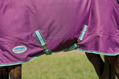 WeatherBeeta Pony ComFiTec Premier Free II Standard Neck Lite Turnout