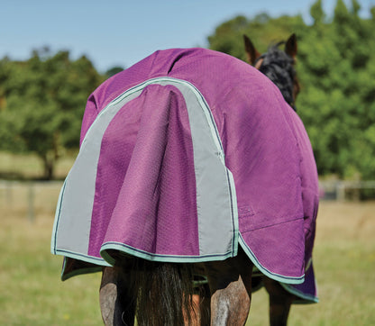 WeatherBeeta Pony ComFiTec Premier Free II Standard Neck Lite Turnout