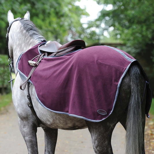 WeatherBeeta Fleece Exercise Sheet