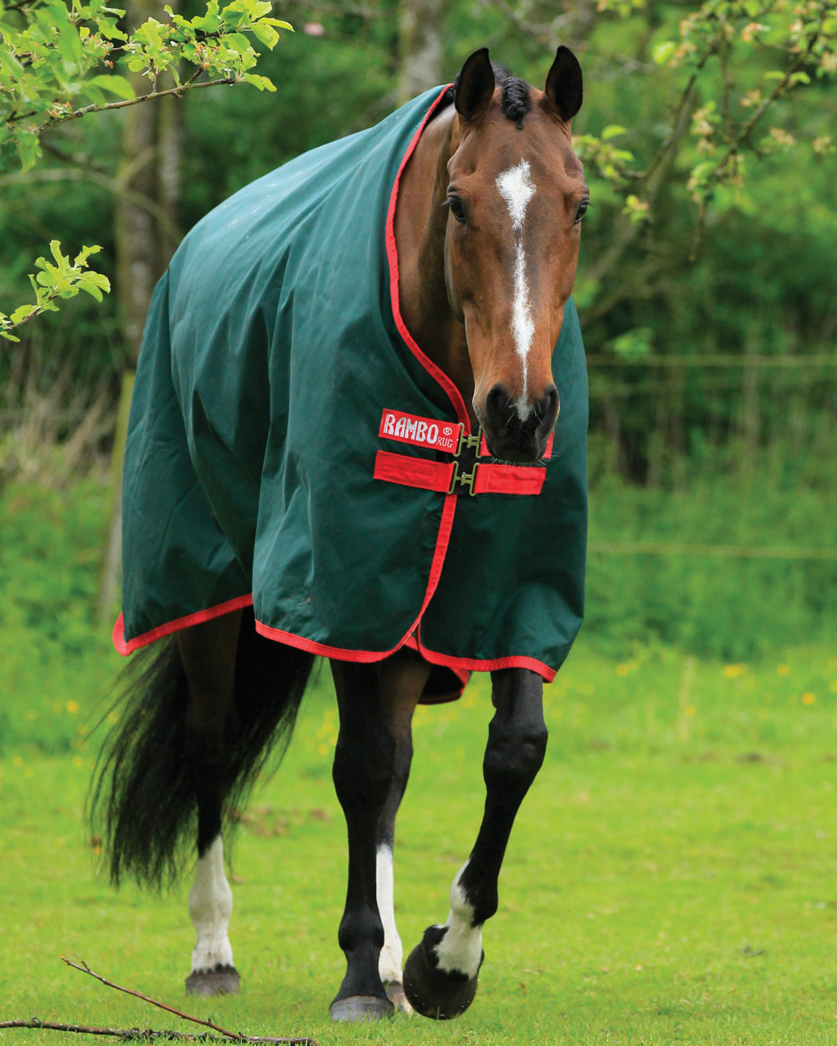Horseware Ireland Rambo Original 1000D Heavyweight Turnout–400G