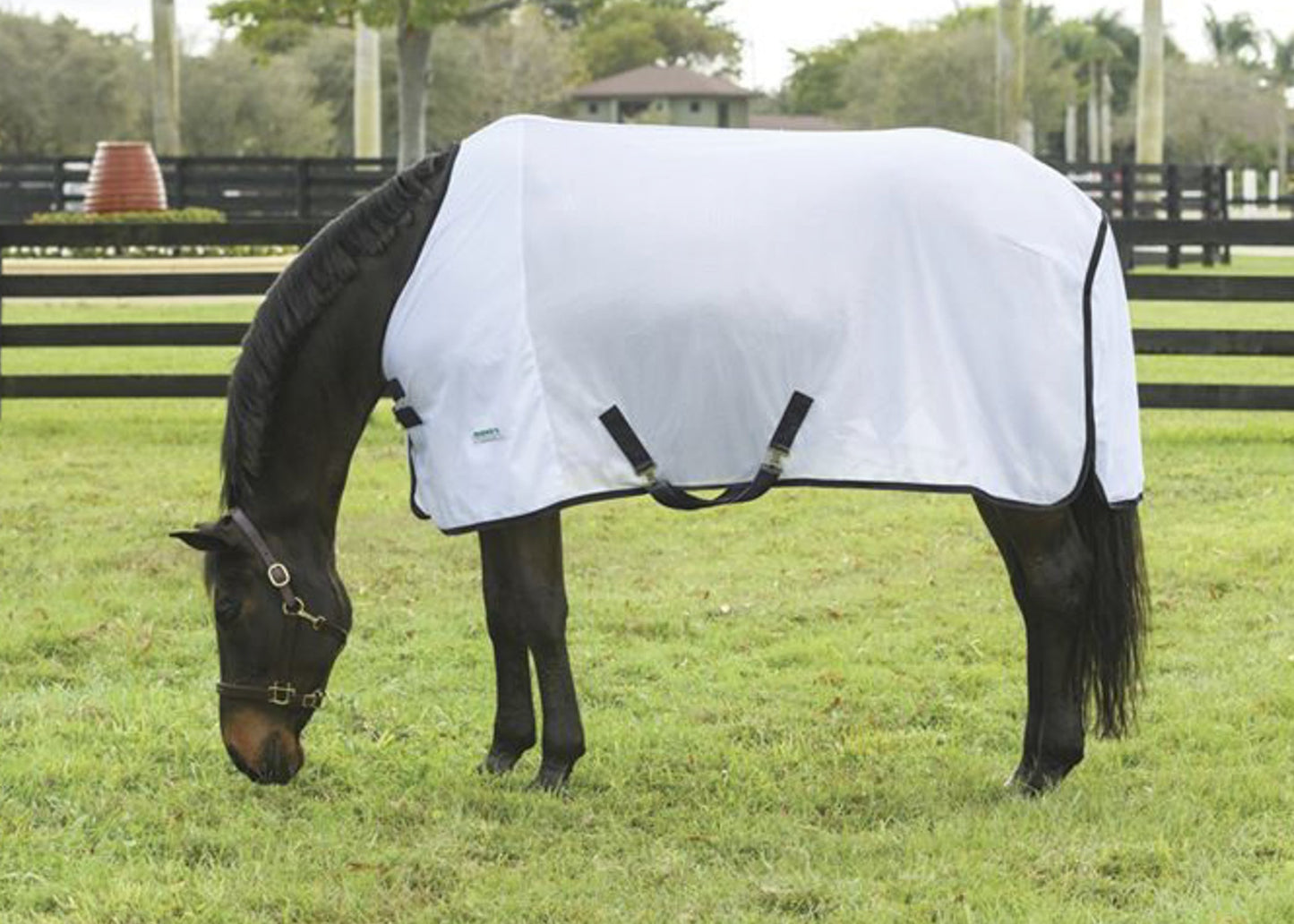 Rider’s International Fly Sheet