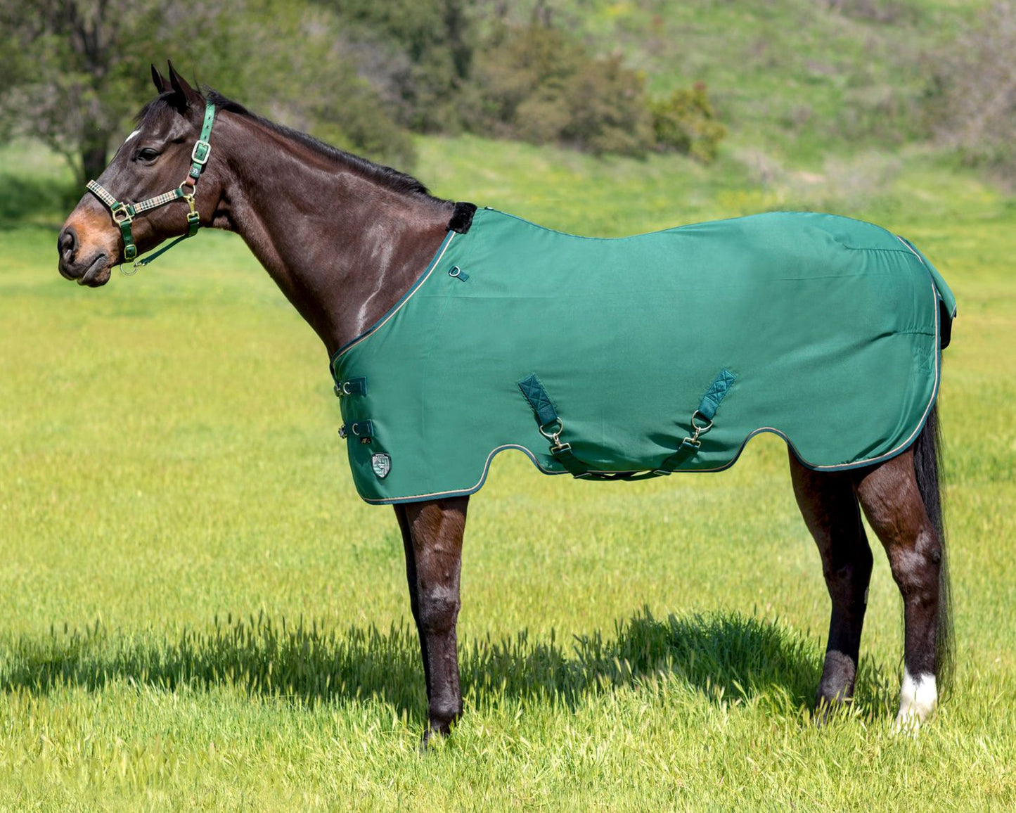 Kensington Pony Poly Cotton Stable Sheet SureFit