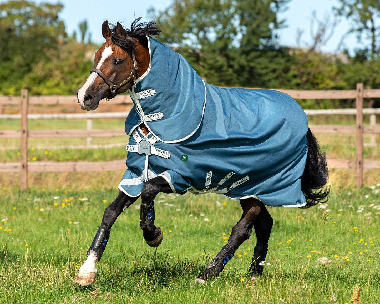 Horseware Ireland Amigo AmEco 12 Plus Lightweight Turnout Blanket