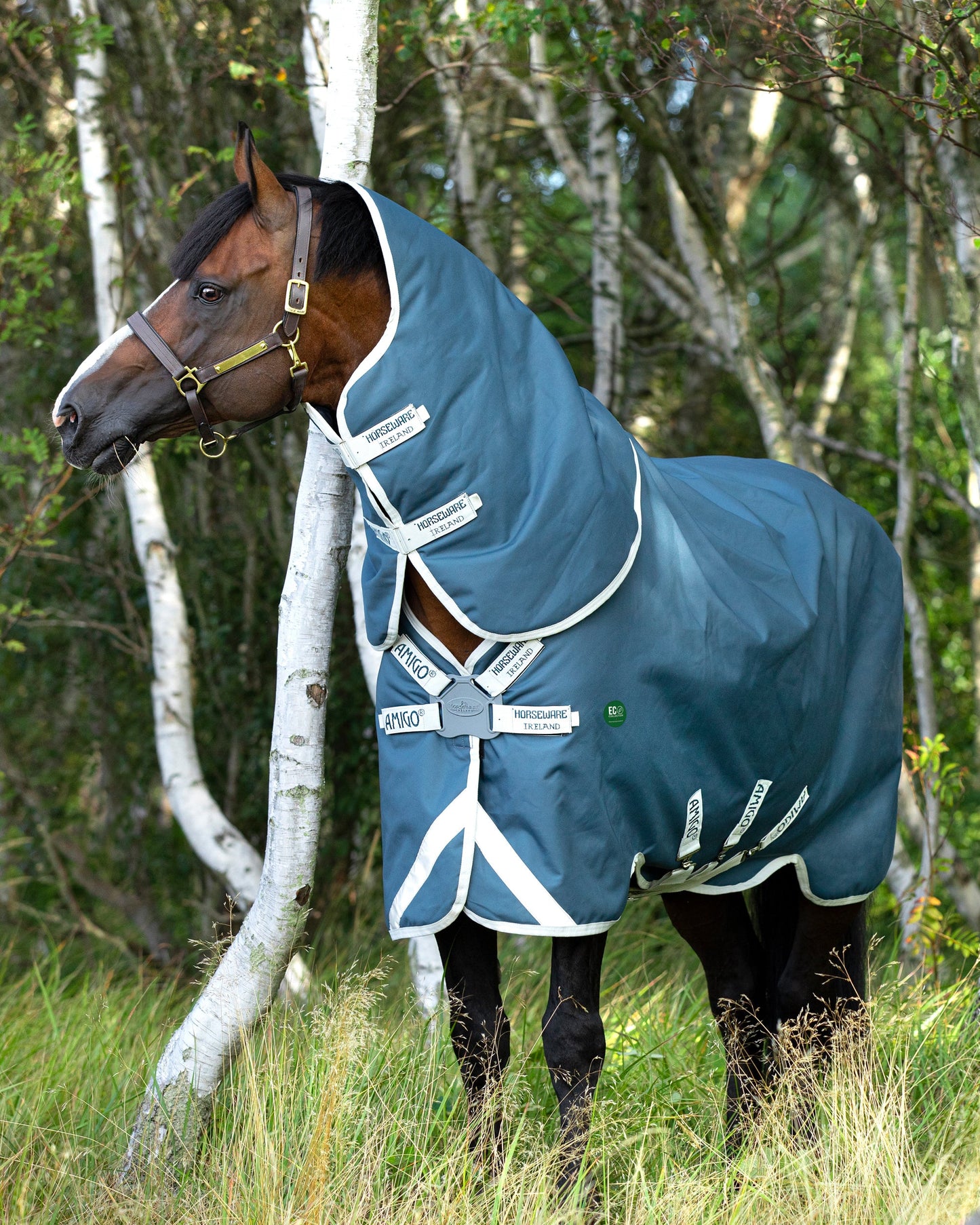 Horseware Ireland Amigo AmEco 12 Plus Lightweight Turnout Blanket