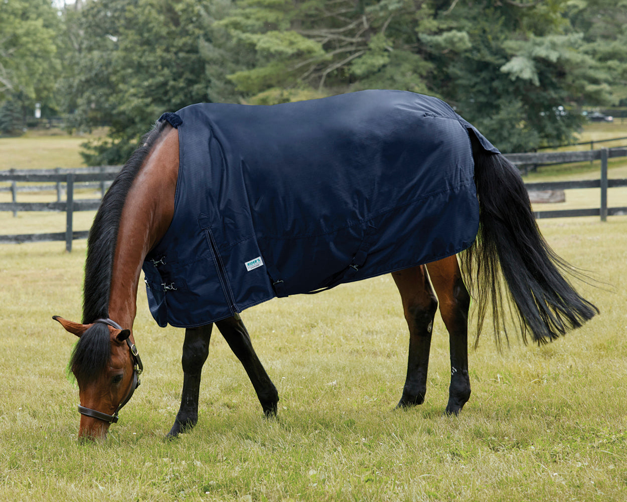 Rider’s International Heavyweight Turnout Blanket