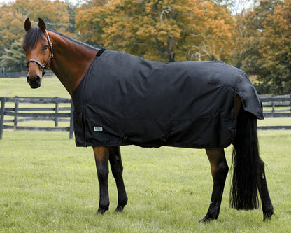 Rider’s International Heavyweight Turnout Blanket