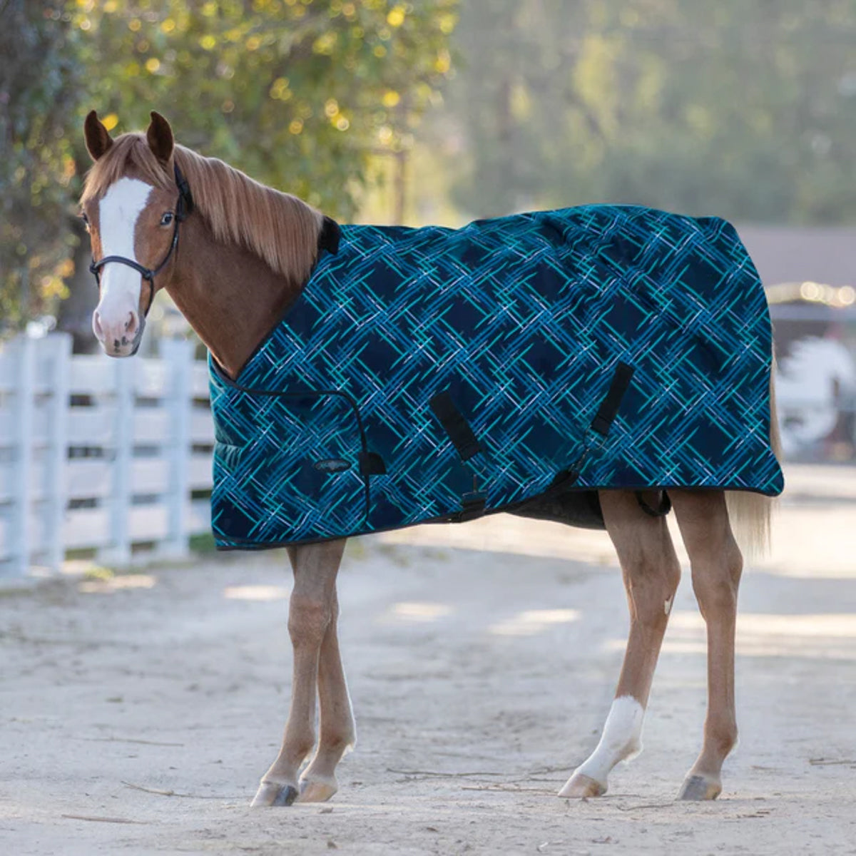 Kensington Adjustable Weanling Turnout Blanket