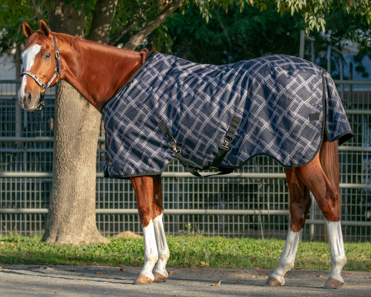 Kensington Signature Lightweight Turnout Blanket