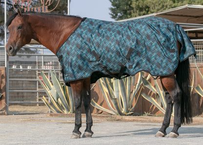 Kensington Signature Lightweight Turnout Blanket