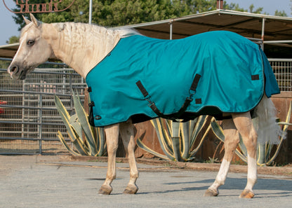 Kensington Signature Lightweight Turnout Blanket