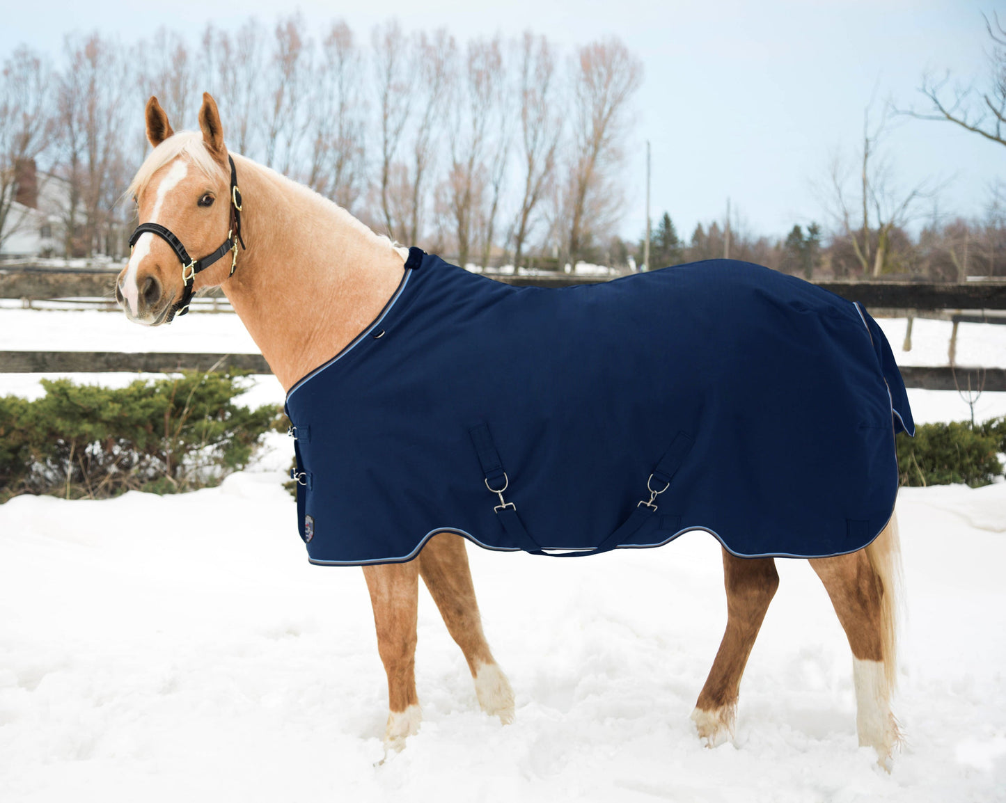 Kensington Pony Signature Heavyweight Turnout Blanket