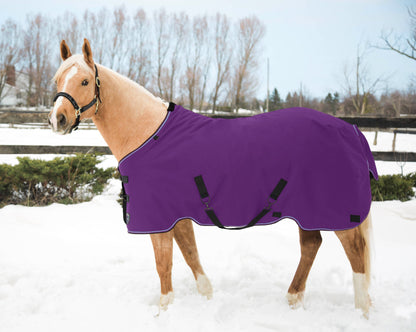 Kensington Pony Signature Heavyweight Turnout Blanket