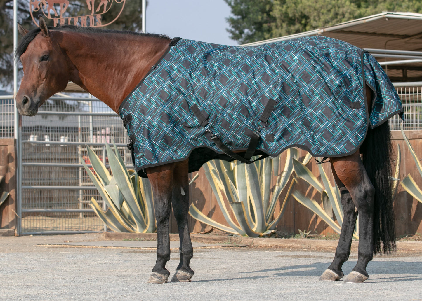 Kensington Pony Signature Heavyweight Turnout Blanket