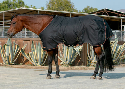 Kensington Signature Heavyweight Turnout Blanket