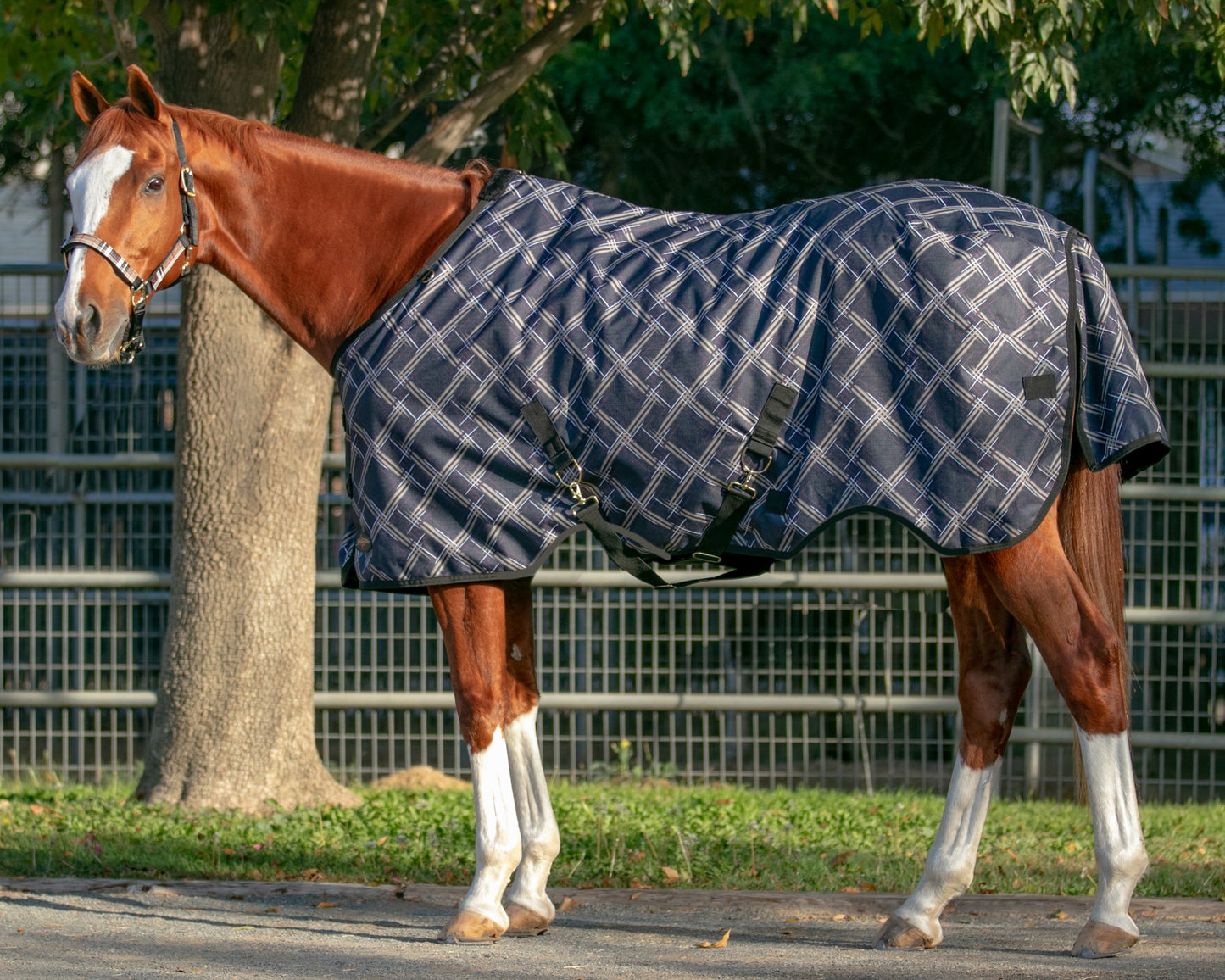 Kensington Signature Heavyweight Turnout Blanket