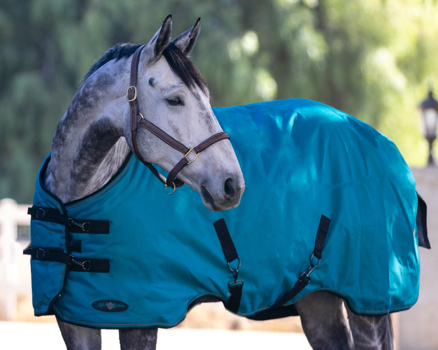 Kensington Pony Signature Heavyweight Turnout Blanket